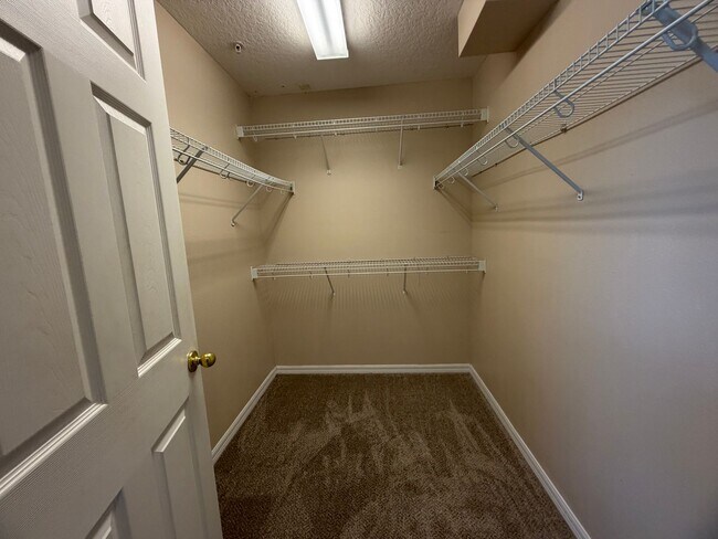 Building Photo - 9434 Silver Buttonwood St