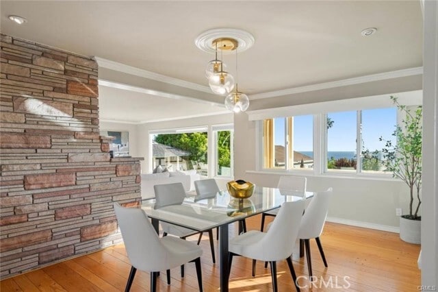 Building Photo - 557 Blumont St