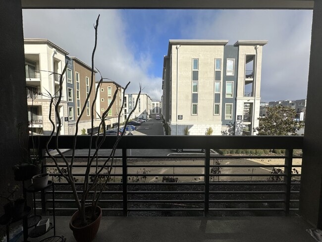 Building Photo - Stunning 3 Bed/3.5 Bath Townhome Walking Distance to BART