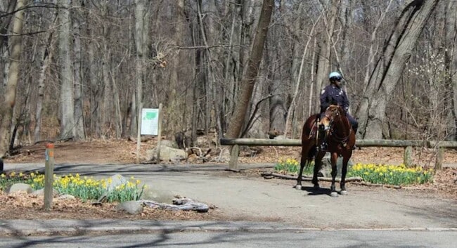 Building Photo - 118-82 Metropolitan Ave