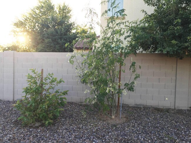 Building Photo - 1625 W Pelican Ct