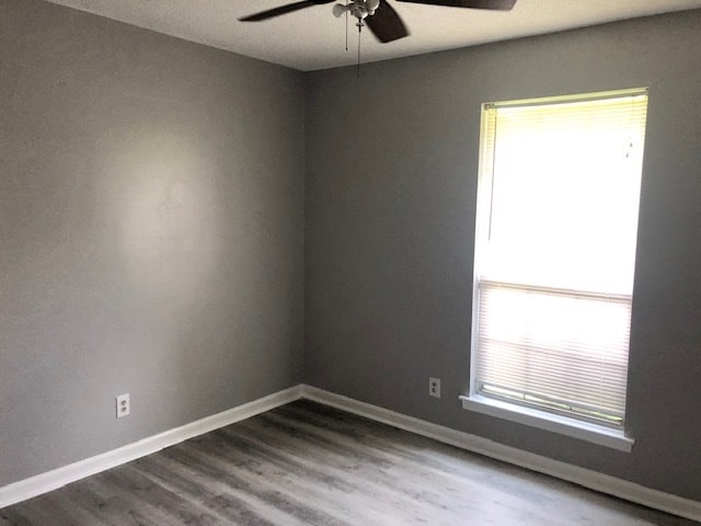 Building Photo - 1 Brandle Cove