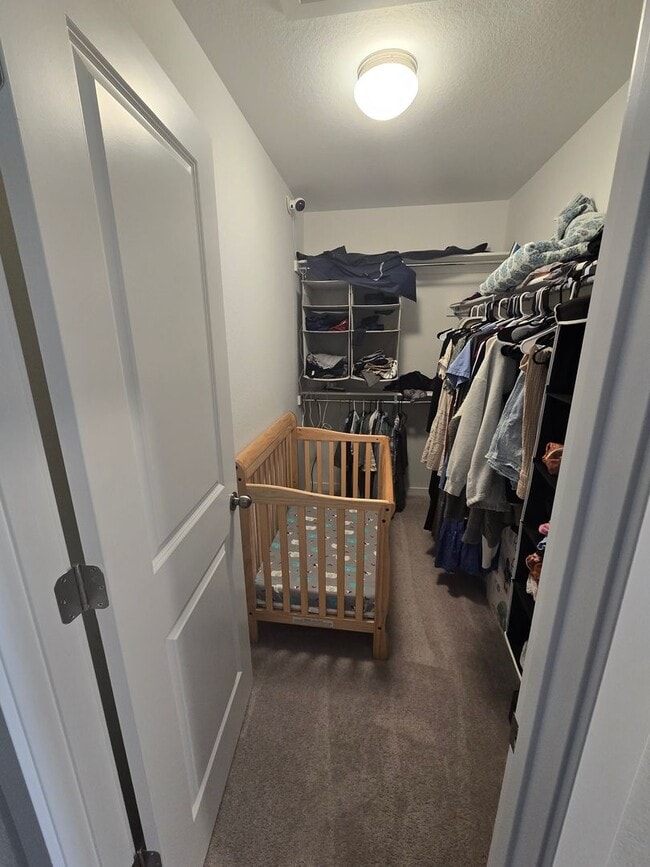 Building Photo - Spacious 4B/3B Available Early April!