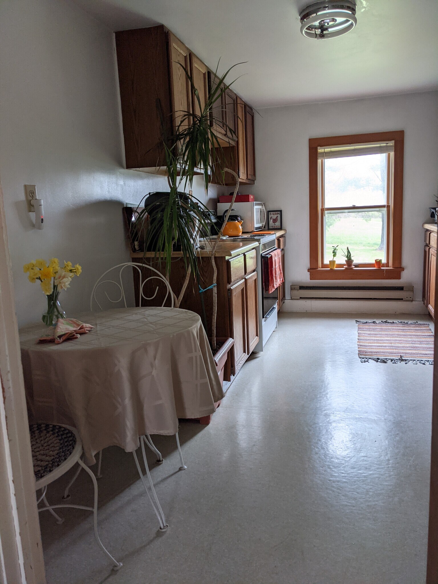 Kitchen - 2022 Danby Rd