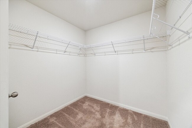 Building Photo - 517 Amberwood Pk Dr