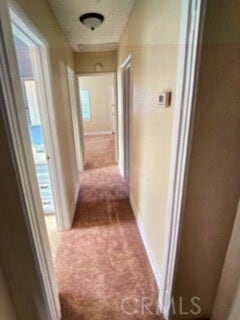 Building Photo - 2725 Mimosa St