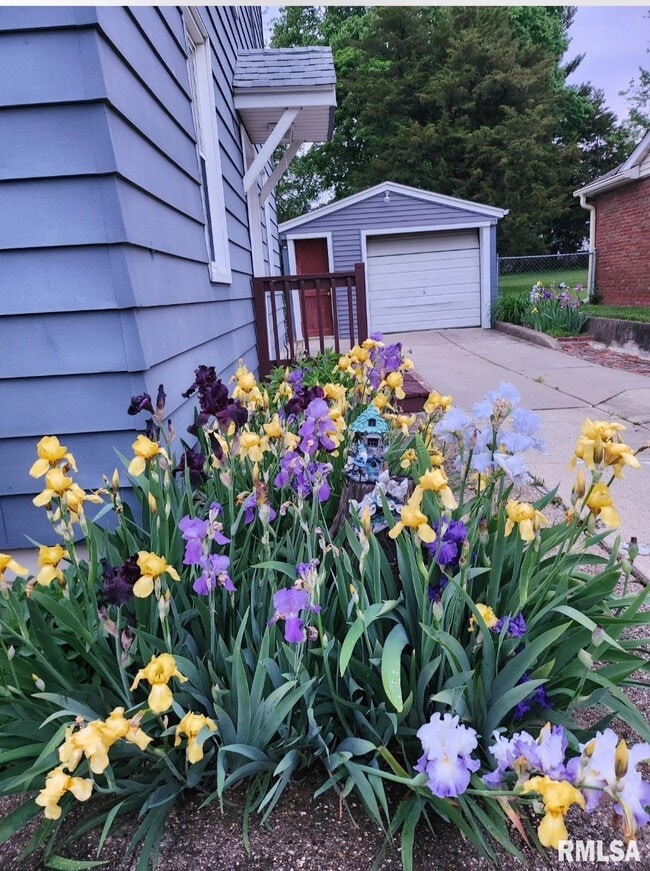 Building Photo - 815 Morris St