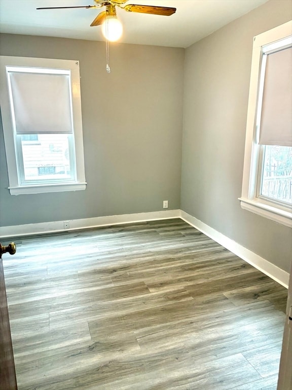 Building Photo - 74 Vernon St