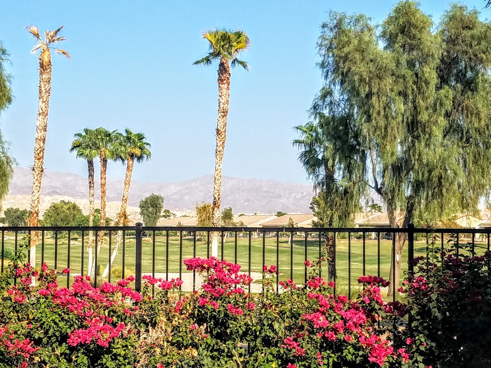 Golf & mountain view - 40296 Calle Ebano