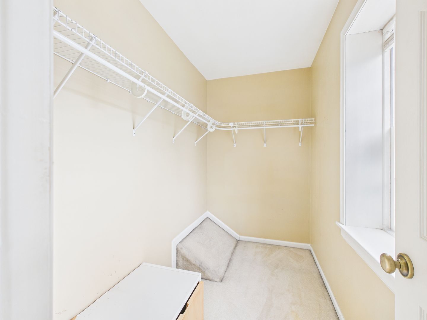 Building Photo - 1507 Skirmish Run Ct