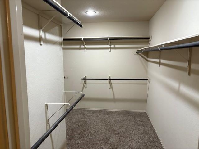 Building Photo - 21118 Kirkland Woods Dr