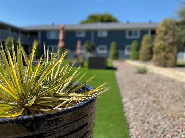 Building Photo - 4950 Live Oak St