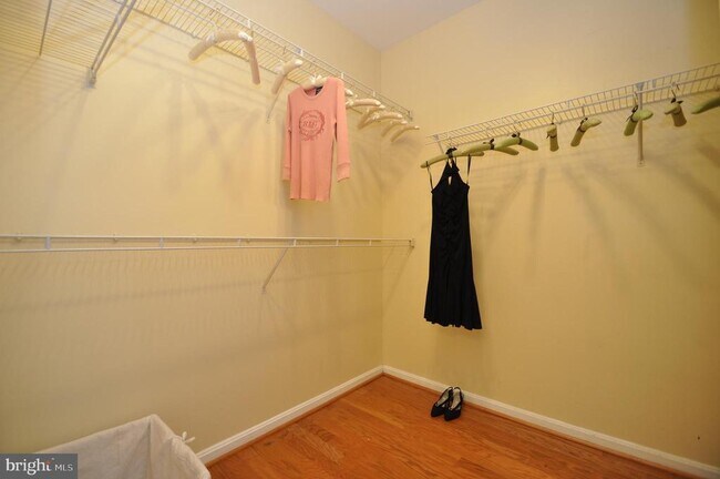 Building Photo - 4550 Strutfield Ln