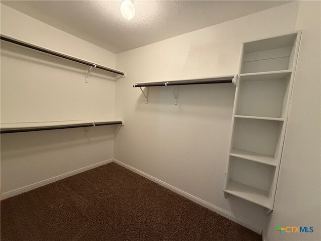 Building Photo - 6009 Cactus Flower Ln