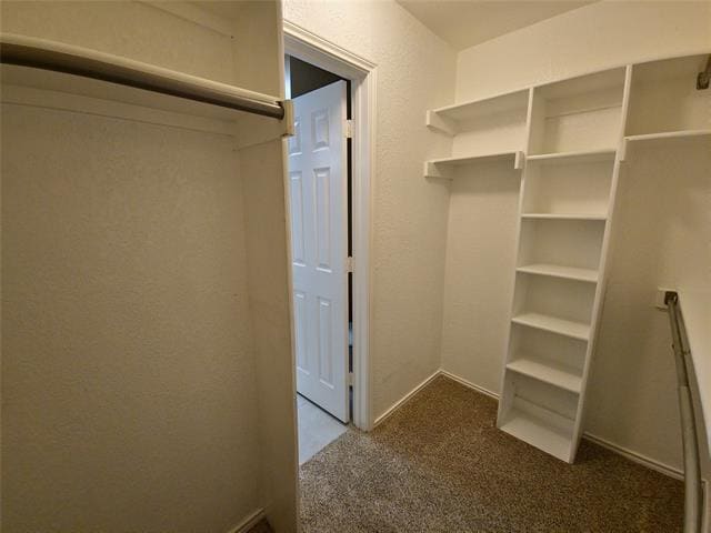 Building Photo - 1524 High Pointe Ln