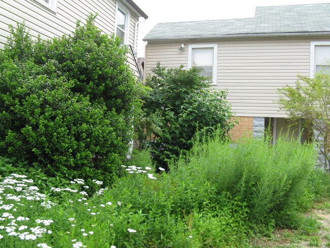 Primary Photo - 517 Montgomery St