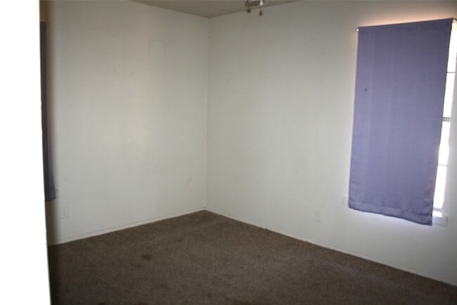 Building Photo - 423 Waller Dr