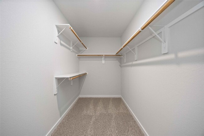 Building Photo - 5311 Basquiat Dr