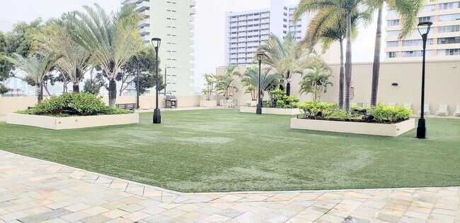 Building Photo - Iolani Court Plaza, Kapiolani, Renovated 1 Bederoom 1 Bathroom 1 Parking Condominium Centrally Lo...