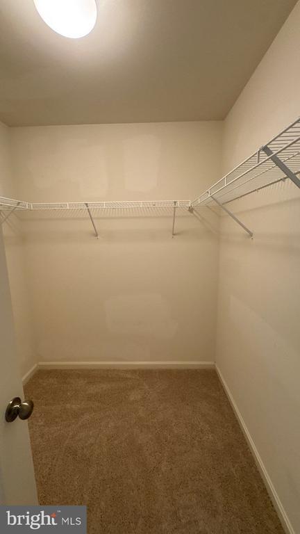 Building Photo - 4165 Tiber Falls Dr