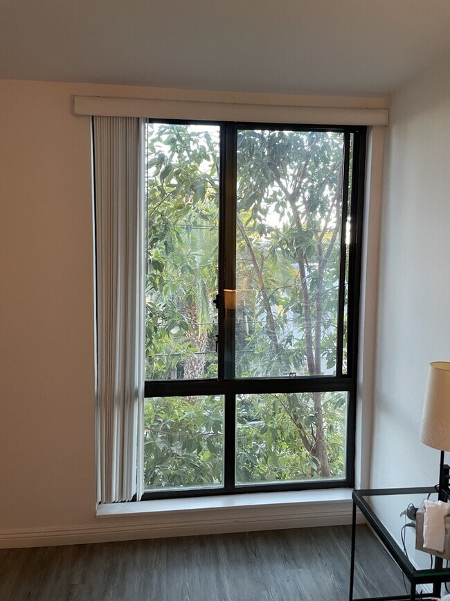 Large bedroom windows - 906 N Doheny Dr
