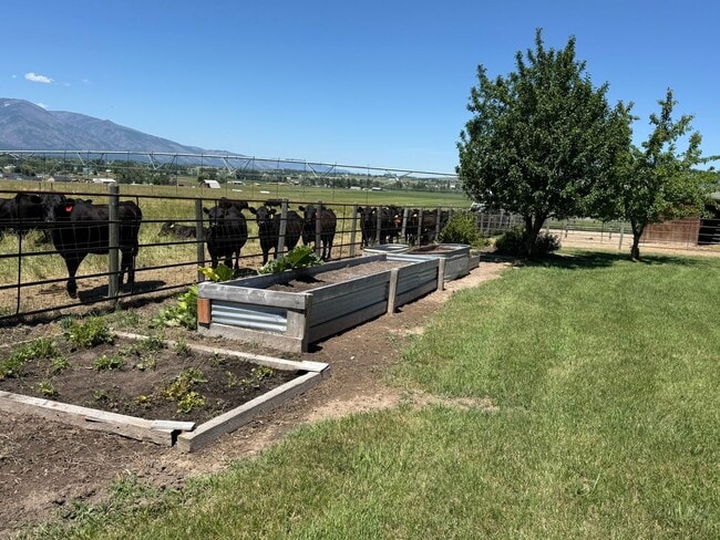 Building Photo - Dream Stevensville Horse Property on 8 acres