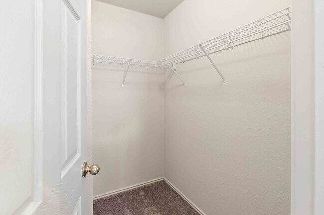 Building Photo - Plum Creek - 3 Bedroom / 2.5 Bathroom Home - 2 Car Garage - Fenced Backyard