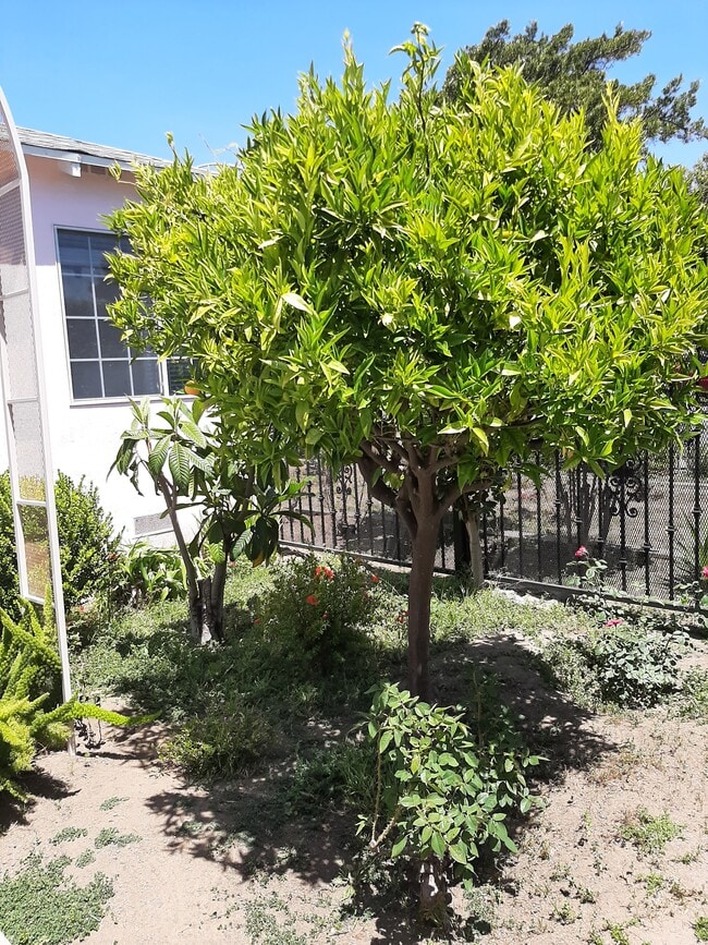 Building Photo - 1428 26th St