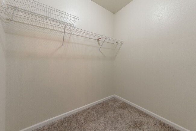 Building Photo - 2805 Tree Swallow Cir