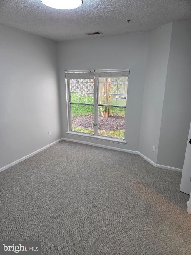 Building Photo - 1303 Sandwort Ct