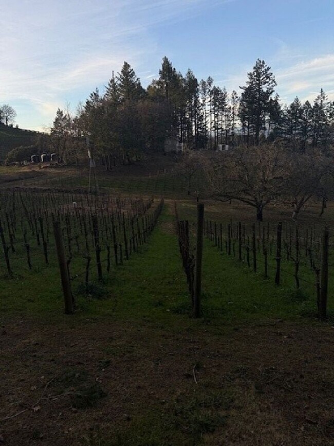 Building Photo - Charming Furnished Estate on Spring Mountain – St. Helena, CA