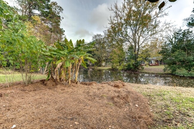 Building Photo - 1045 Riverview Dr