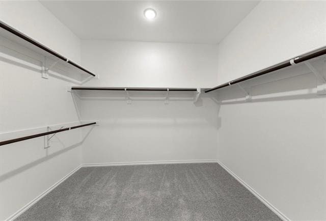 Building Photo - 2112 Sesaro Dr