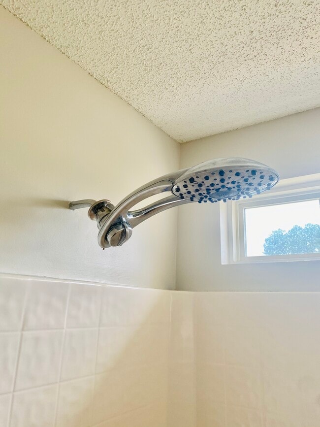 master garden tub - 513 Fagin Cir