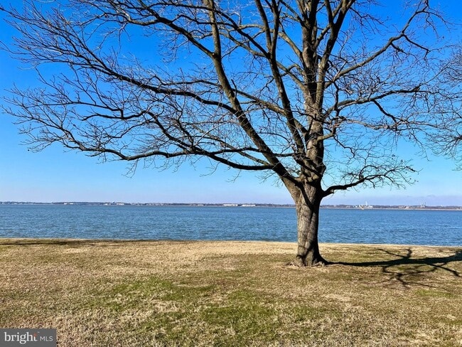 Building Photo - 289 N River Dr