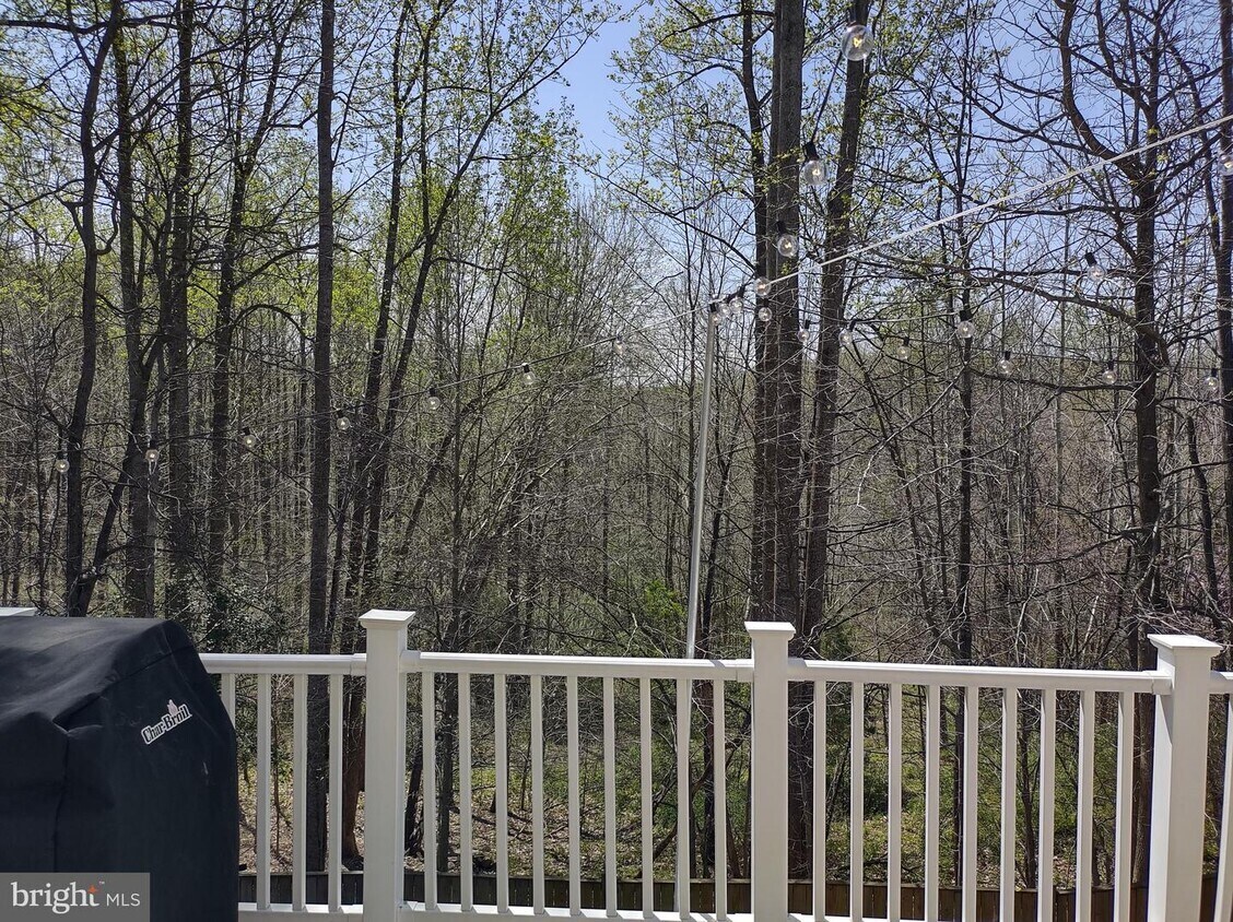 Full Back Deck - View towards lake side - 15200 Chula Pl