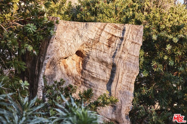 Building Photo - 6715 Fernhill Dr