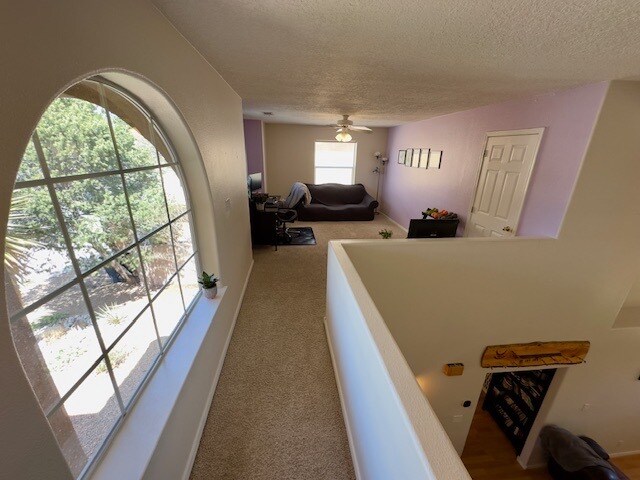 Building Photo - 4212 Rancho Grande Pl NW