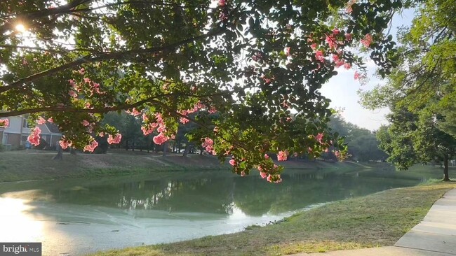 Building Photo - 1017 Oaklyn Ct