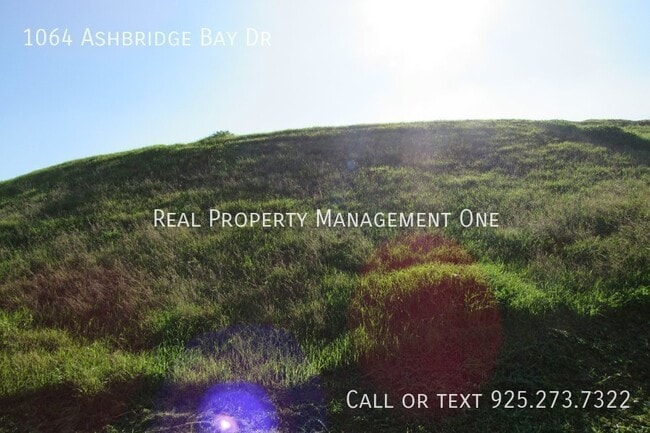 Building Photo - 1064 Ashbridge Bay Dr