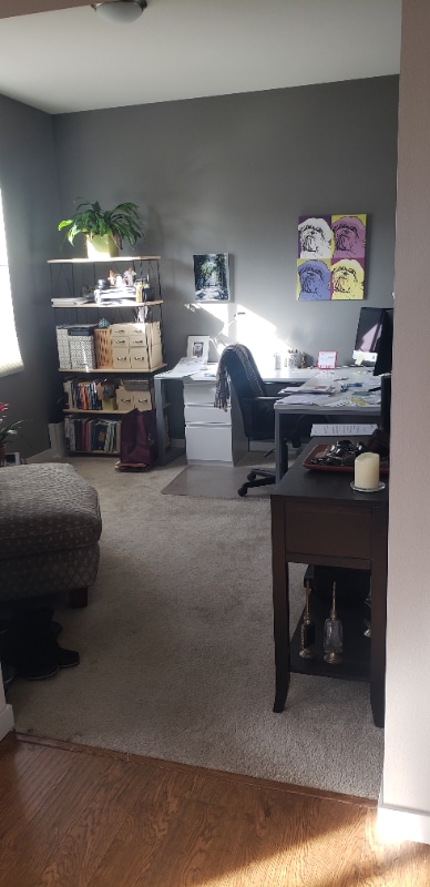 Building Photo - 9733 Dunning Cir