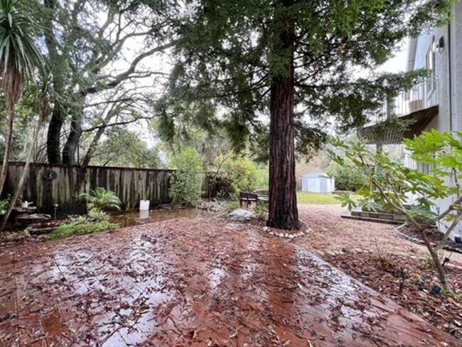 Building Photo - Custom Features, 3 Bedroom, 2 Bathroom, Napa Home