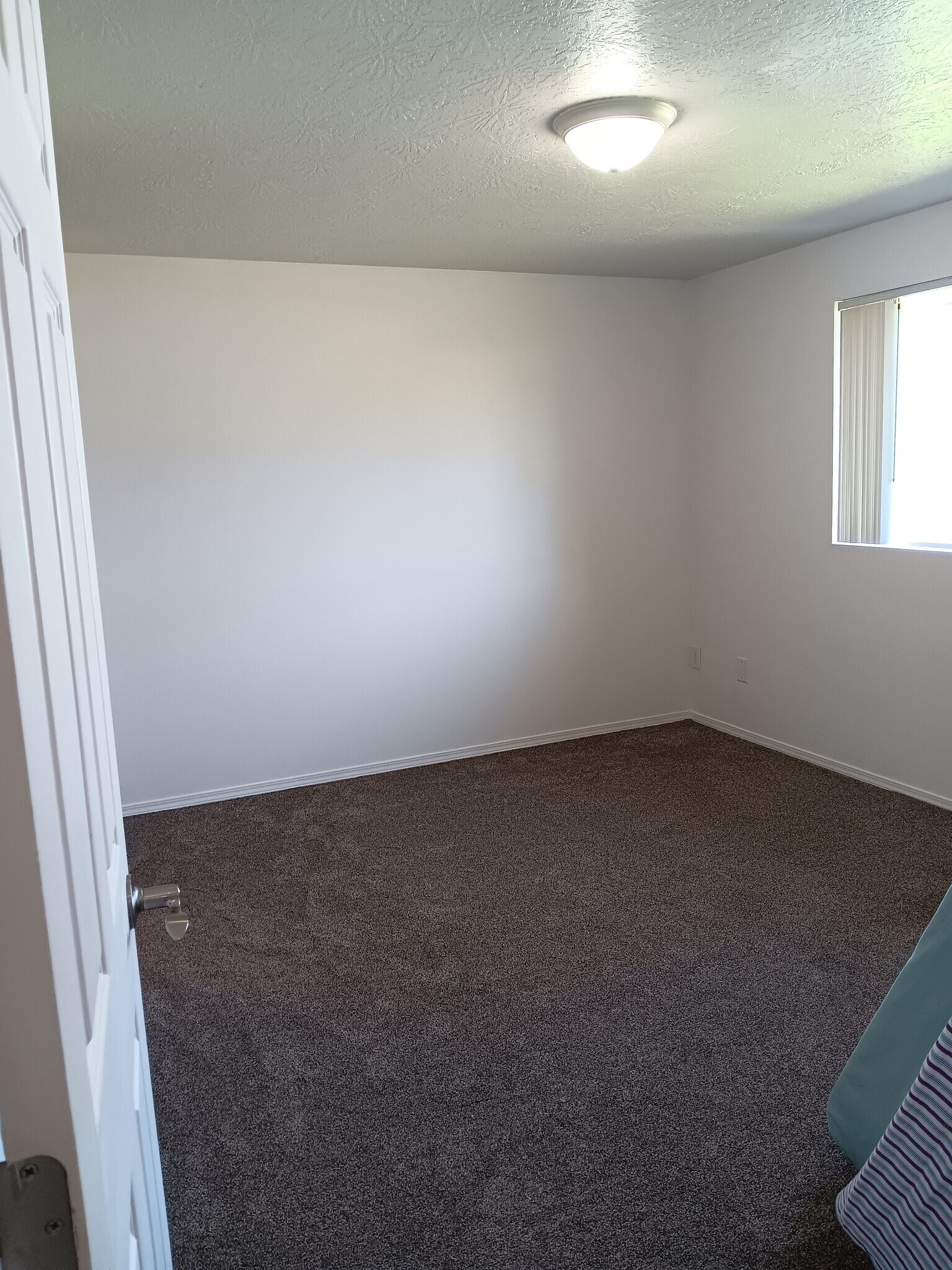 Master Bedroom - 393 Shamrock St