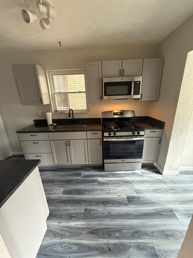 Building Photo - Newly Renovated 3BD 1BA house in Mt. Washington!