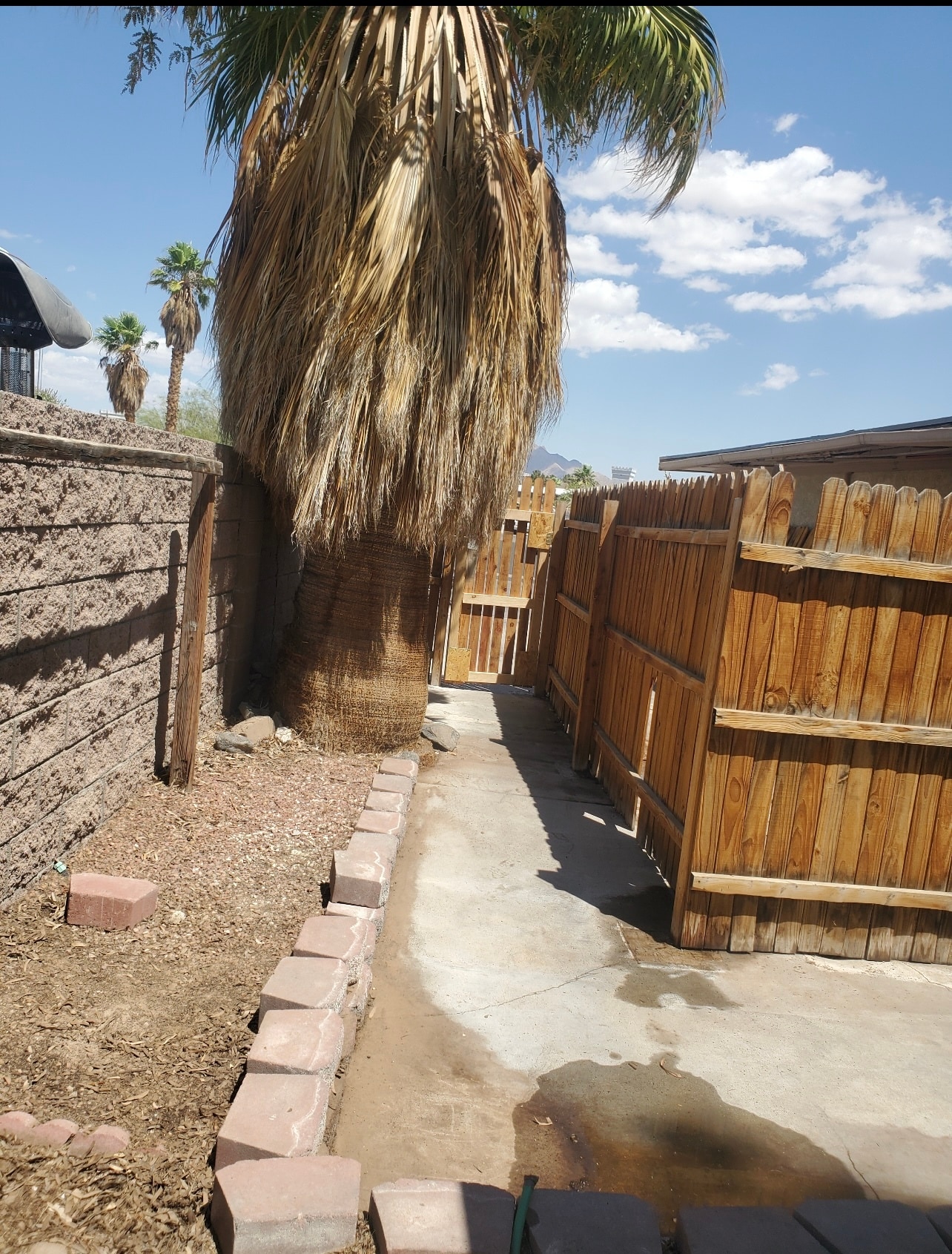 Private walkway - 5055 Arvada Way