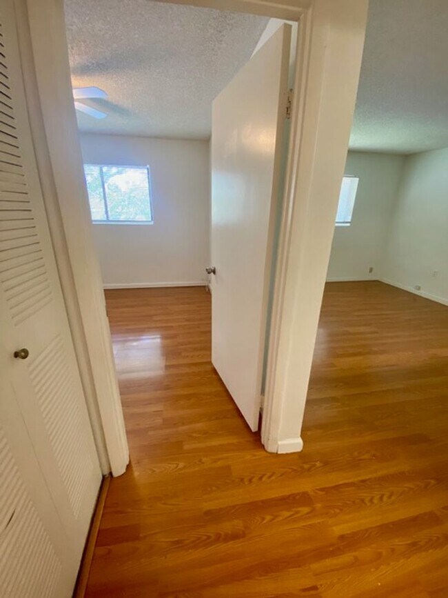 Building Photo - 351 Palm Way