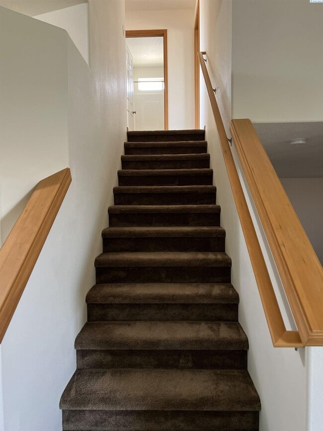 Building Photo - 4519 Catalonia Dr