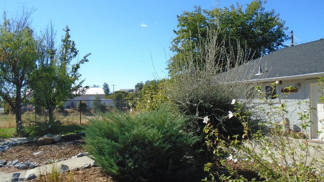 Building Photo - 4 Bedroom in Ravenwood Subdivision