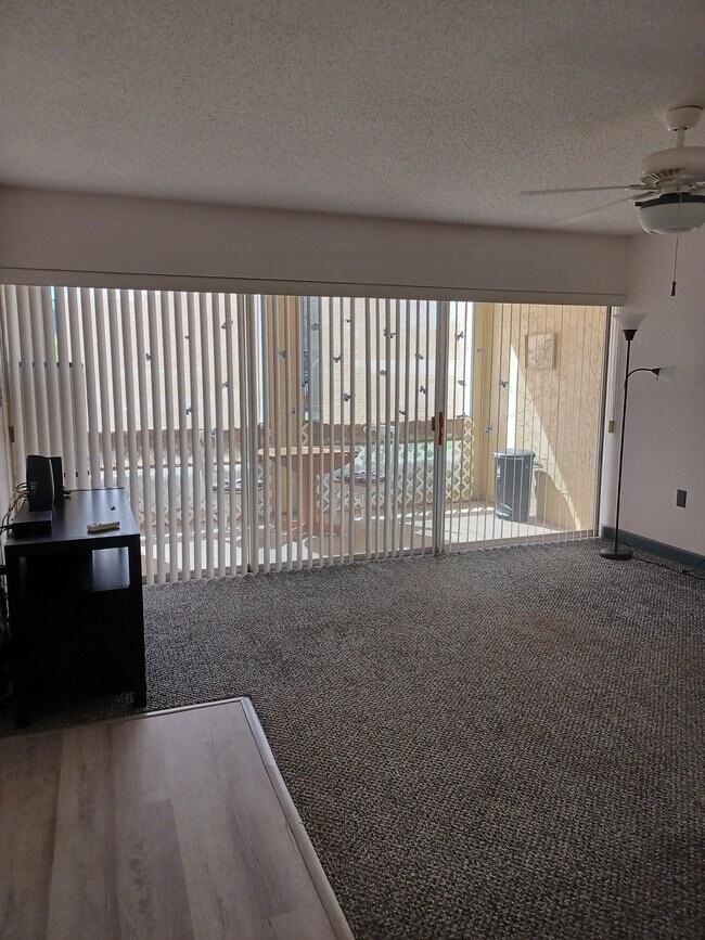 Looking out to the enclosed private porch from the living room - 7701 Starkey Rd