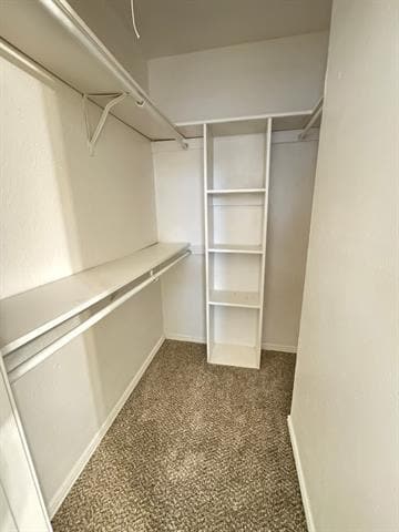 Building Photo - 2301 Claridge Cir